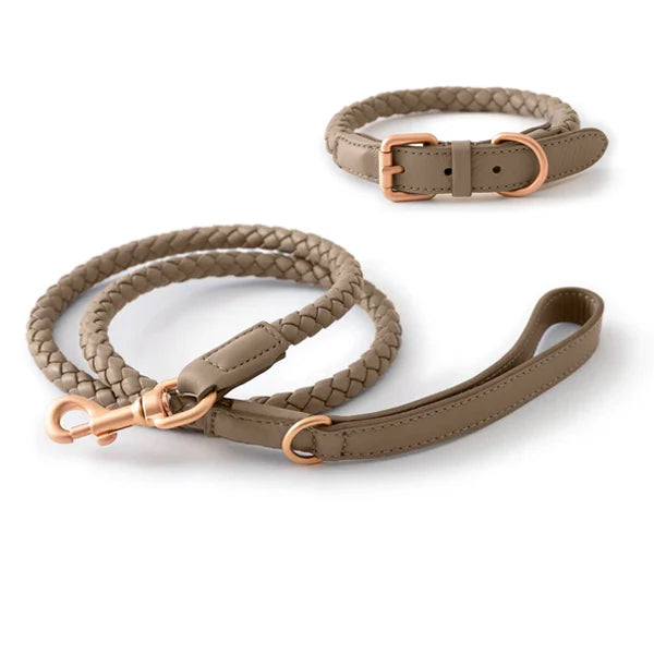 Leashes & Collars